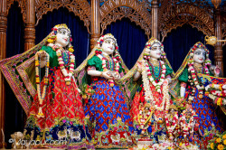 Daily Darshan