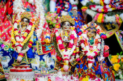 Daily Darshan