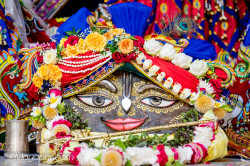 Daily Darshan