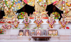 Daily Darshan