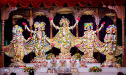 Daily Darshan