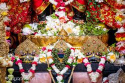 Daily Darshan