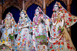 Daily Darshan