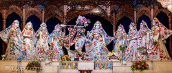 Daily Darshan