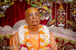 Daily Darshan