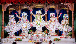 Daily Darshan