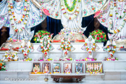Daily Darshan