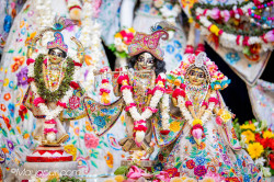 Daily Darshan