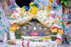 Daily Darshan
