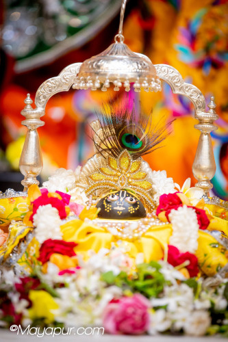 Daily Darshan