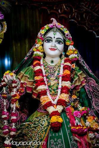 Daily Darshan