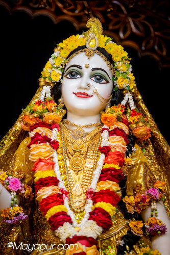 Daily Darshan