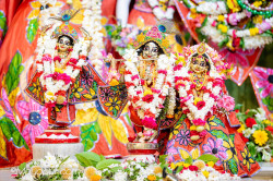 Daily Darshan