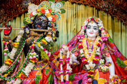 Daily Darshan