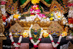 Daily Darshan