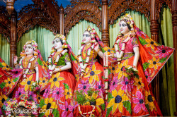 Daily Darshan