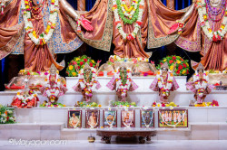 Daily Darshan