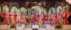 Daily Darshan