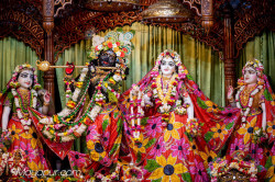 Daily Darshan