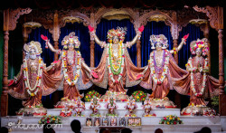 Daily Darshan