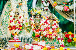 Daily Darshan