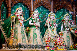 Daily Darshan