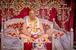 Daily Darshan