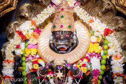 Daily Darshan