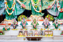 Daily Darshan