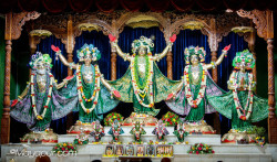 Daily Darshan