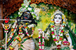 Daily Darshan