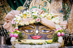 Daily Darshan