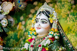 Daily Darshan