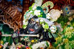 Daily Darshan