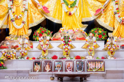 Daily Darshan