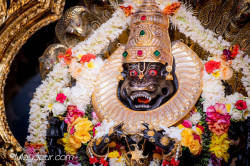 Daily Darshan