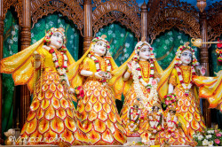 Daily Darshan