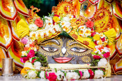 Daily Darshan