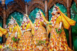 Daily Darshan