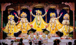 Daily Darshan