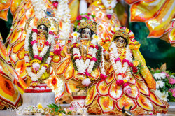 Daily Darshan