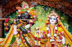 Daily Darshan