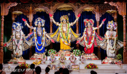 Daily Darshan