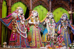 Daily Darshan