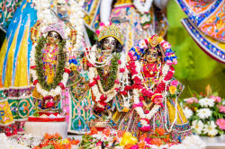 Daily Darshan