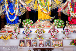 Daily Darshan