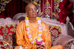 Daily Darshan