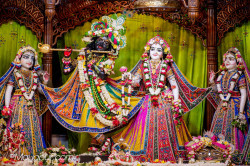Daily Darshan