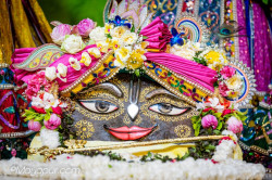 Daily Darshan