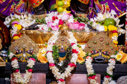 Daily Darshan